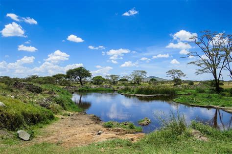 Lake Manyara overview