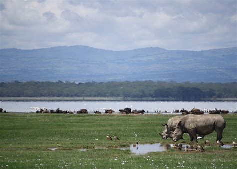Lake Nakuru Planning