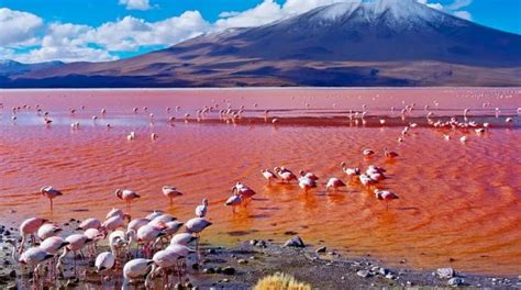 Lake Natron Landscape