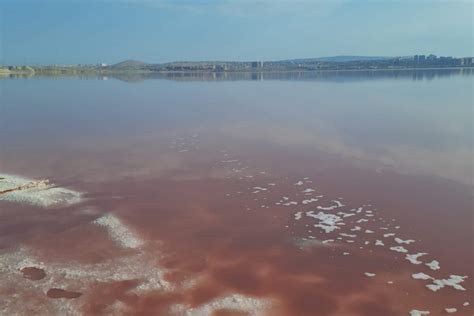 Lake Rose Experience