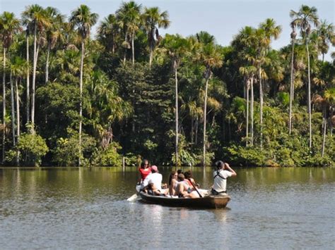 Lake Sandoval Amazon