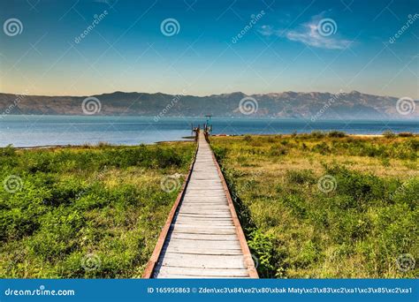 Lake Skadar Shkoder Albania