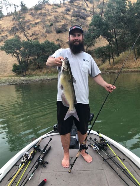 Fishing Report for Lake Berryessa