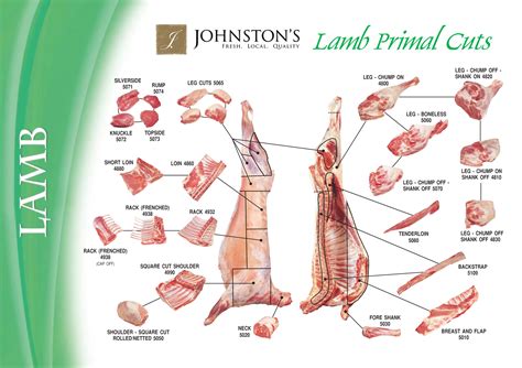 Lamb Cutting Chart