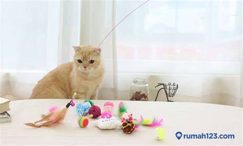 Tutorial Membuat Mainan Kucing