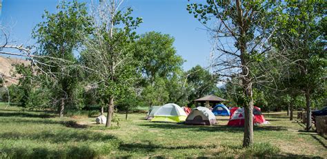Land of Wolves Camping