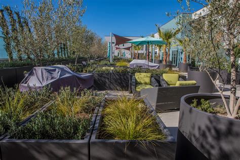 Landscape Architect Ca