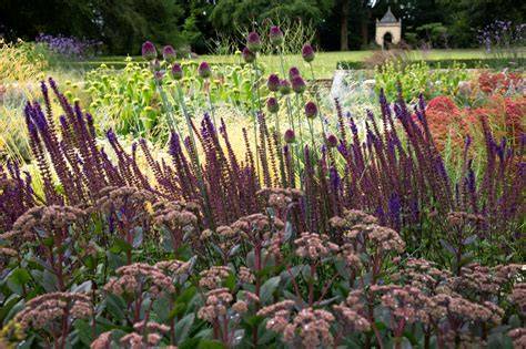 Landscape Architect Dorset