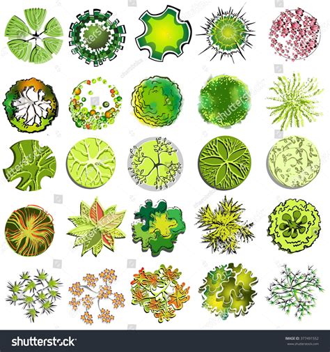 Landscape Architect Drawing Symbols