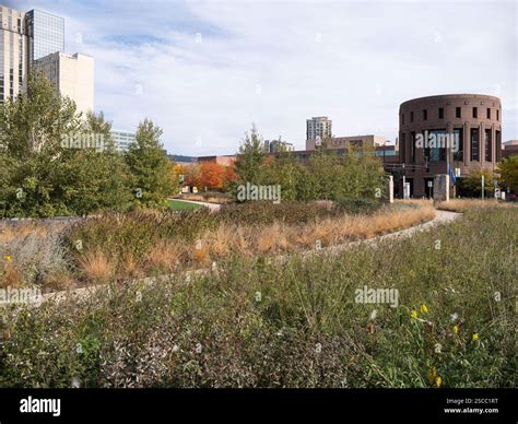 Landscape Architect Mn