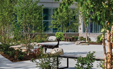 Landscape Architect Schools In California