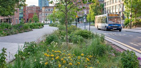 Landscape Architect Sheffield