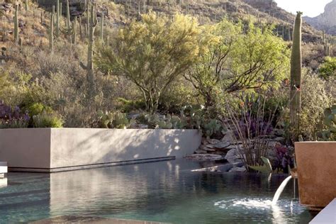 Landscape Architect Tucson Az