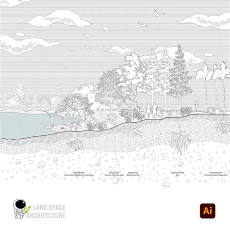 Landscape Architecture Illustrator