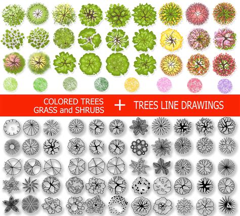 Landscape Architecture Tree Stamps