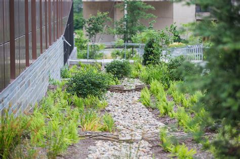 Landscape Architecture Umass