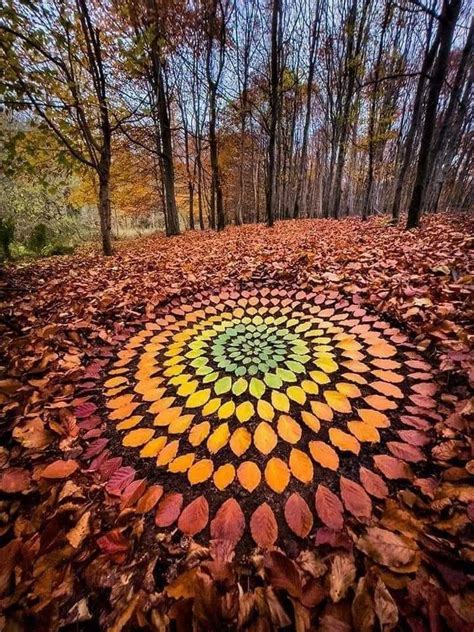 Landscape Artist Andy Goldsworthy