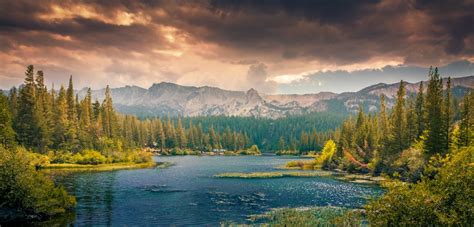 Landscape Background