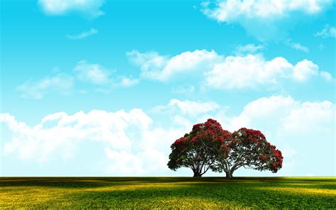 Landscape Background Photoshop