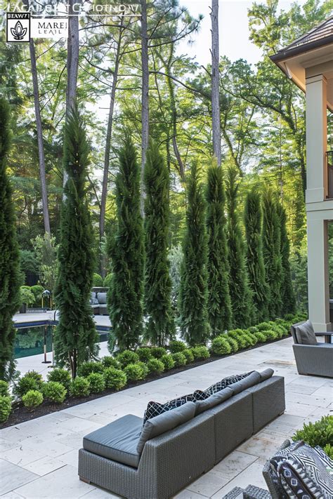 Landscape Barrier Trees