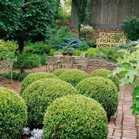 Landscape Bushes For Sale