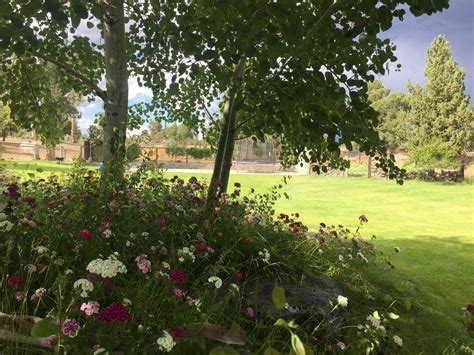 Landscape Companies Bend Oregon