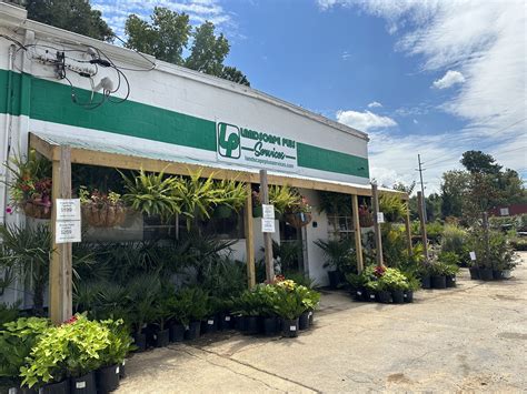 Landscape Contractors Gainesville Ga