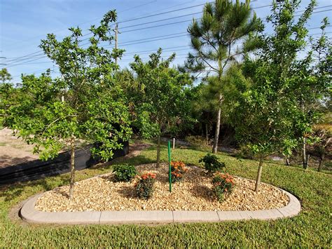 Landscape Curbing Venice Fl