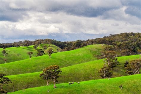Landscape Design Adelaide Hills