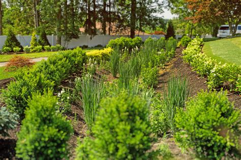 Landscape Design And Horticulture