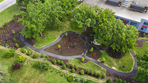 Landscape Design And Installation