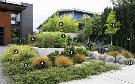 Landscape Design And Planting