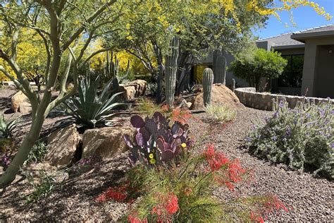 Landscape Design Arizona Ideas