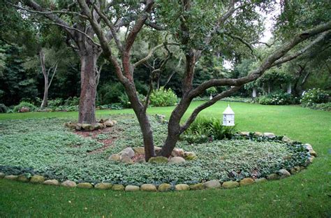 Landscape Design Around A Tree