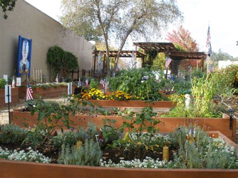 Landscape Design Auburn Ca