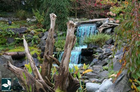 Landscape Design Auburn Wa