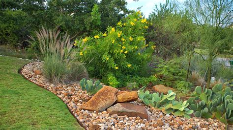 Landscape Design Austin Native Plants