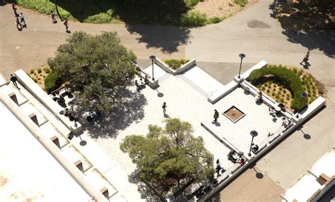 Landscape Design Berkeley Ca