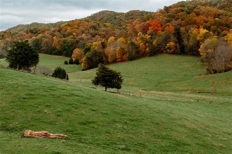 Landscape Design Blacksburg Va