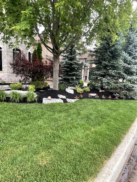 Landscape Design Blog