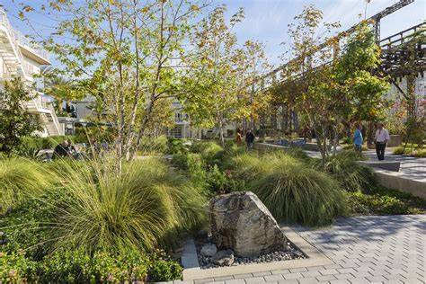 Landscape Design Burbank Ca