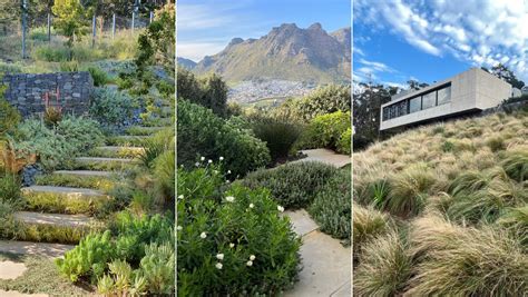 Landscape Design Cape Town