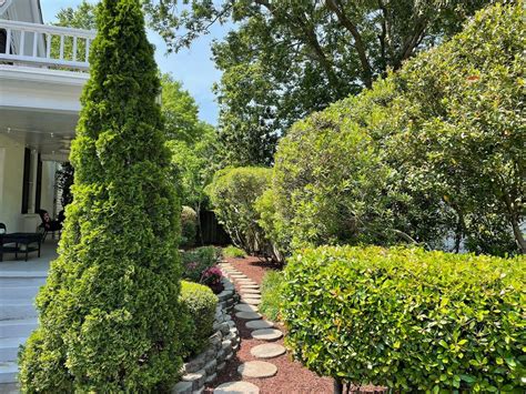 Landscape Design Clayton Nc