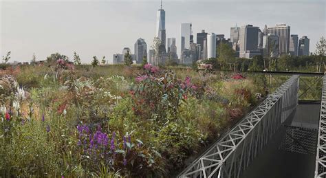 Landscape Design Companies Nyc