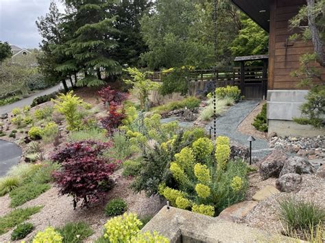 Landscape Design Danville Ca