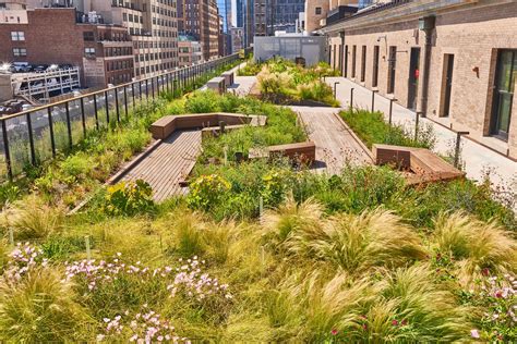 Landscape Design Definition