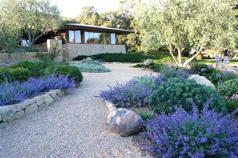 Landscape Design Drought Tolerant Plants