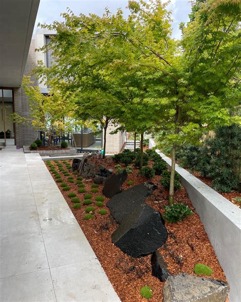 Landscape Design Eastern Suburbs Sydney