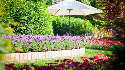 Landscape Design Elk Grove Ca