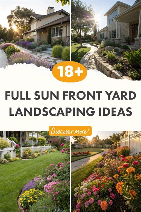 Landscape Design For Full Sun